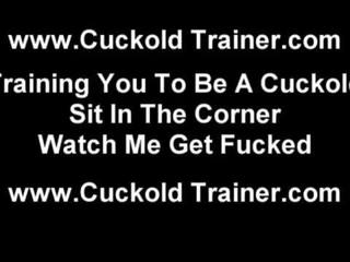 You are nothing but a cuckold slave youth to me